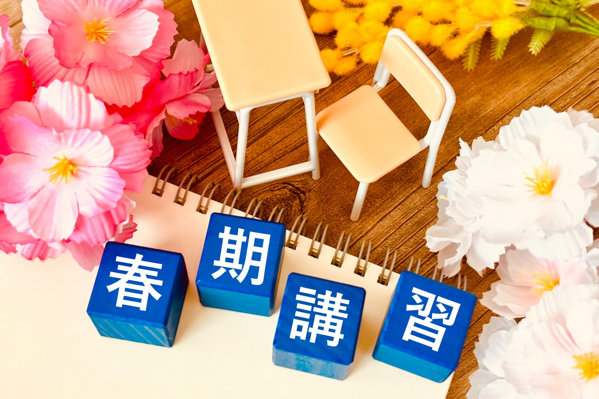 期間限定講習・イベント情報